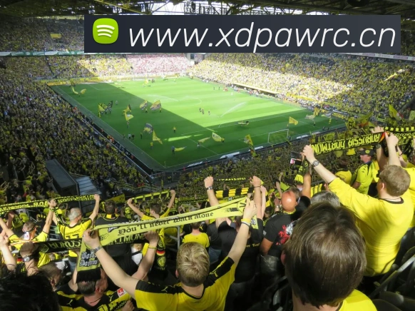 App Interface Preview